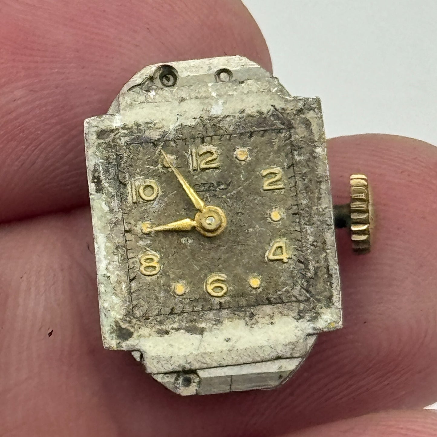 12.9mm Ladies Rotary AS 1051 A Schild Manual Wind Swiss Watch Movement PARTS