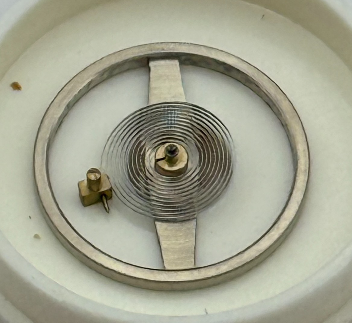 EB 1229 Balance Wheel Complete And Spring  Special S.P. Watch Movement Parts NOS