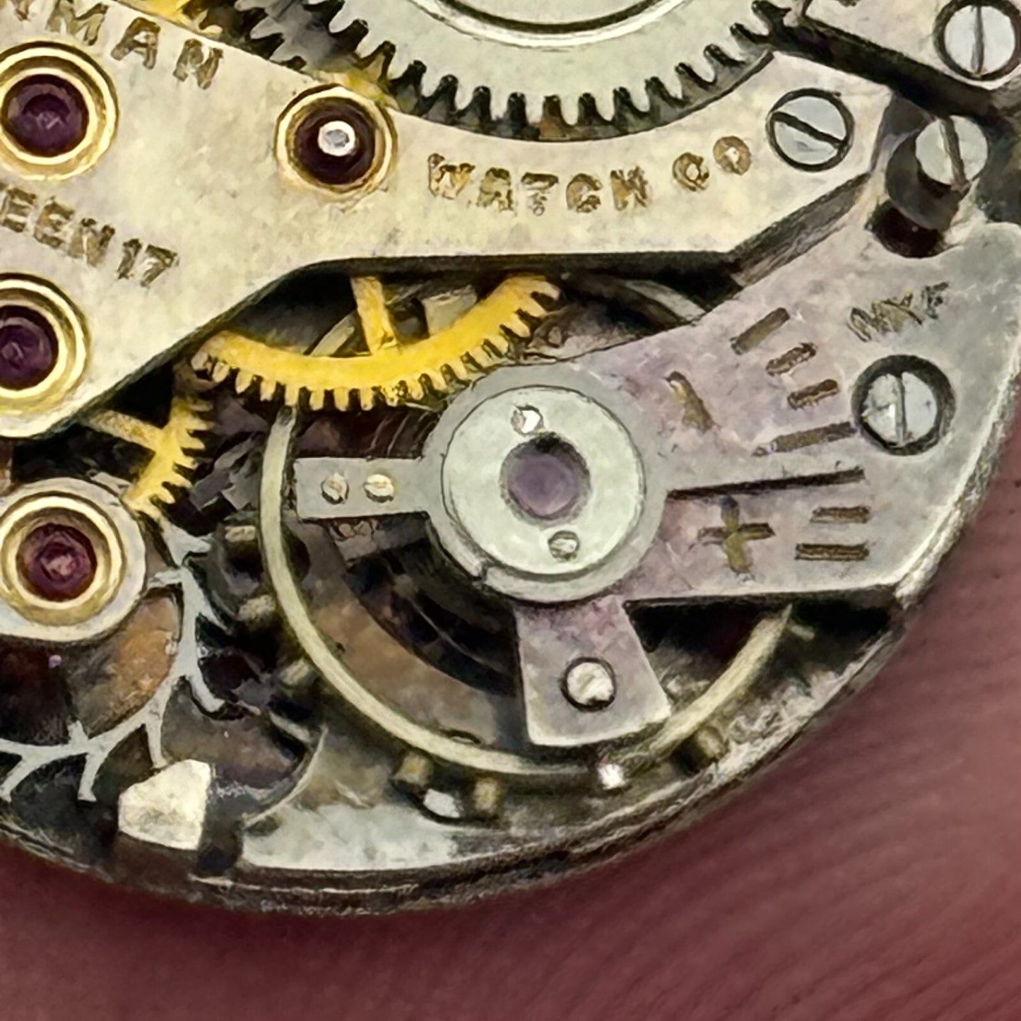 19.7mm Norman AS 970 A Schild Manual Wind 17 Jewels Swiss Watch Movement PARTS