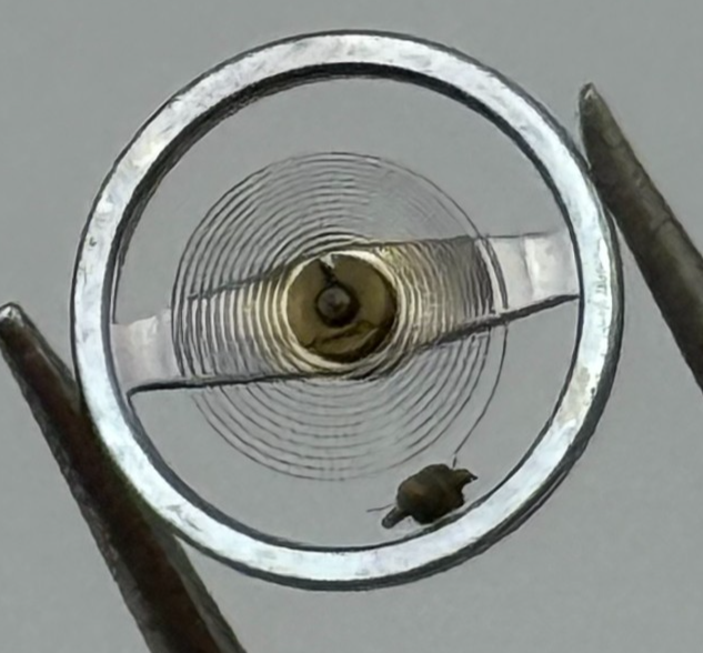 Brac 2021 Balance Wheel Complete And Spring  5¼’’’ 69 M Watch Movement Parts NOS