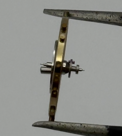 Felsa 690 1560 Balance Complete Renata 189 M Watch Movement Parts Vintage NOS