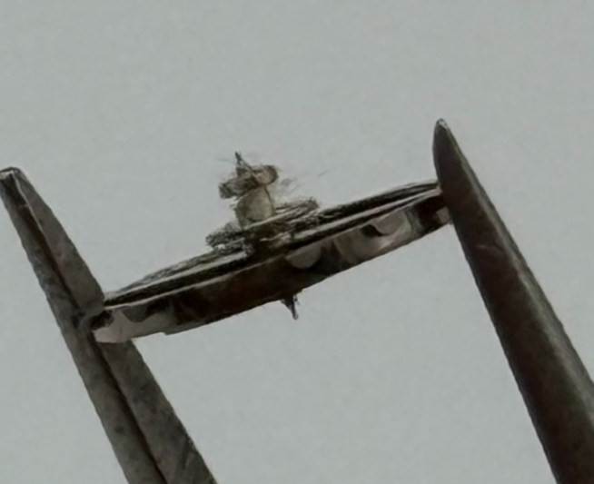 EB Balance Complete KIF Renata 1431 Watch Movement Parts Vintage NOS