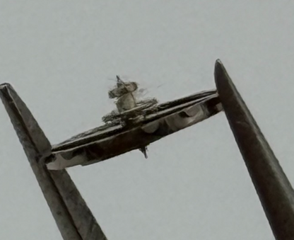 EB Balance Complete KIF Renata 1431 Watch Movement Parts Vintage NOS