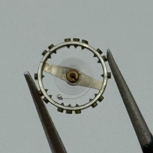 AS 976 1012 Balance Wheel Complete And Spring 29 M Watch Movement Parts NOS