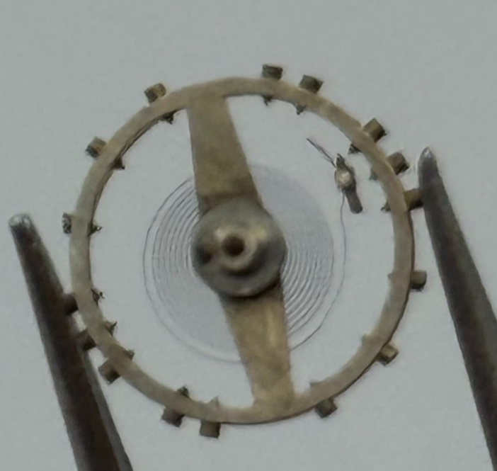 ETA 411 Balance Complete 6 3/4''' Renata Watch Movement Parts Vintage NOS