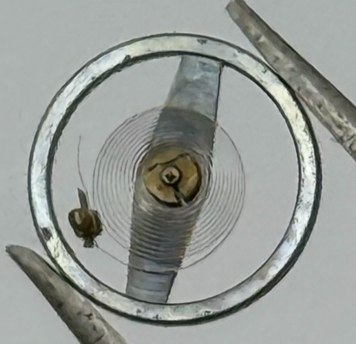 Brac 2021 2051 Balance Wheel Complete And Spring 69 M Watch Movement Parts NOS