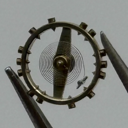 AS 1677 Balance Wheel Complete And Spring Inca 1224 M Watch Movement Parts NOS