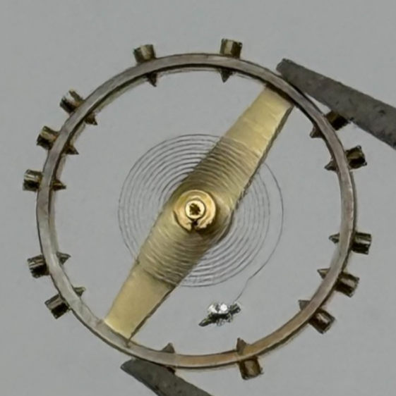 AS 1194 Balance Wheel Complete And Spring 42 M Watch Movement Parts NOS