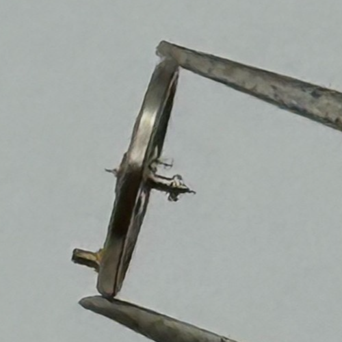 Oris 280 410 Balance Wheel Complete And Spring 330 M Watch Movement Parts NOS