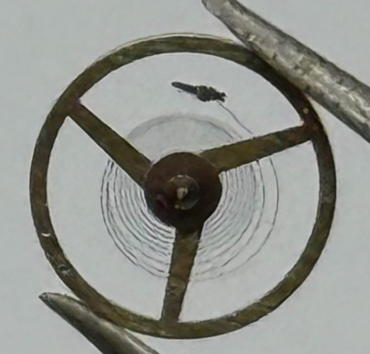 AS 1977-2 Balance Wheel Complete And Spring  1831 M Watch Movement Parts NOS