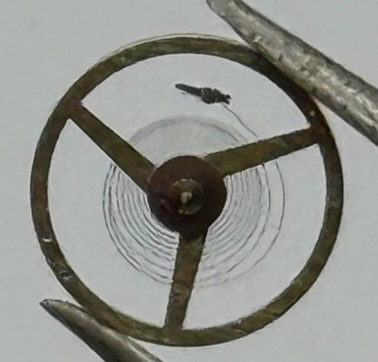 AS 1977-2 Balance Wheel Complete And Spring  1831 M Watch Movement Parts NOS