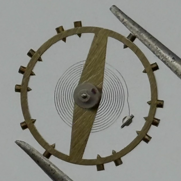 Felsa 690 1560 Balance Complete Renata 189 M Watch Movement Parts Vintage NOS