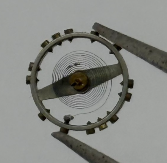 AS 976 1012 Balance Wheel Complete And Spring  29 M Watch Movement Parts NOS