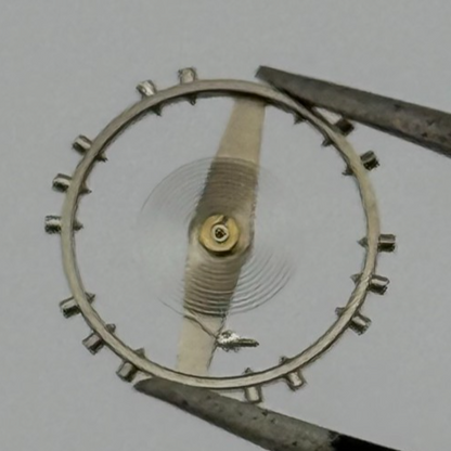 ETA 2450 2452 2472 Balance Wheel Complete And Spring 1676 M Watch Movement Parts