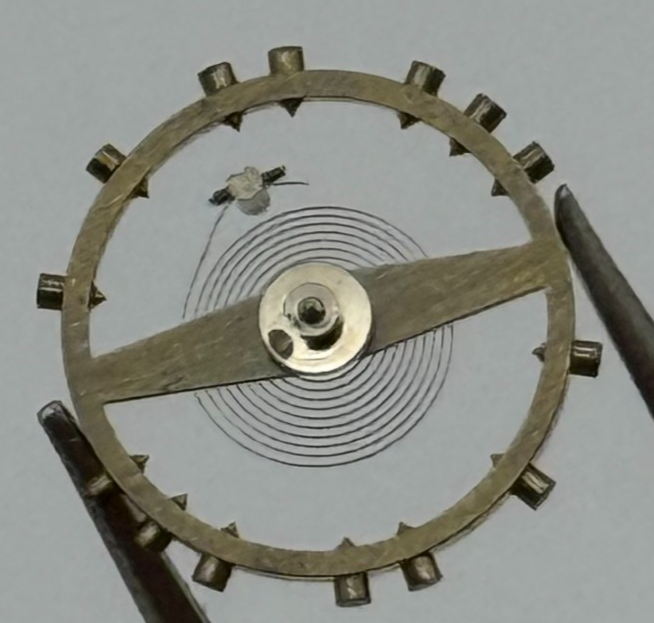 AS 984 Balance Wheel Complete And Spring 31 M Watch Movement Parts NOS