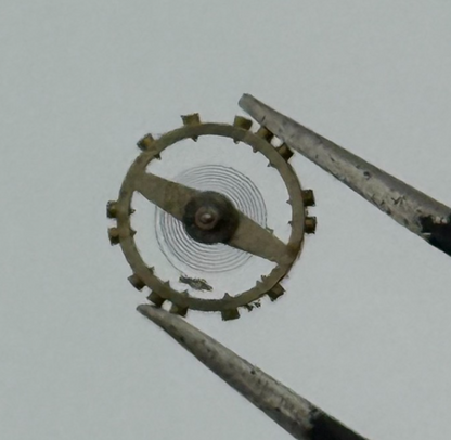 AS 976 1012 Balance Wheel Complete And Spring  29 M Watch Movement Parts NOS