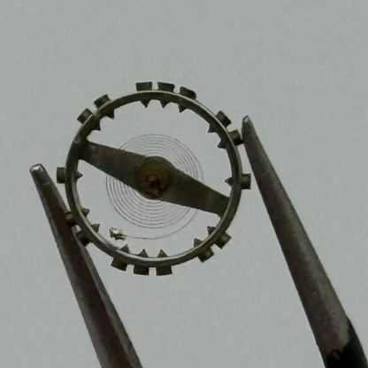 AS 976 1012 Balance Wheel Complete And Spring 29 M Watch Movement Parts NOS