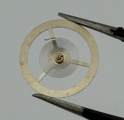 EB 8800 Balance Wheel Complete And Spring 12’’’ 1309 Watch Movement Parts NOS