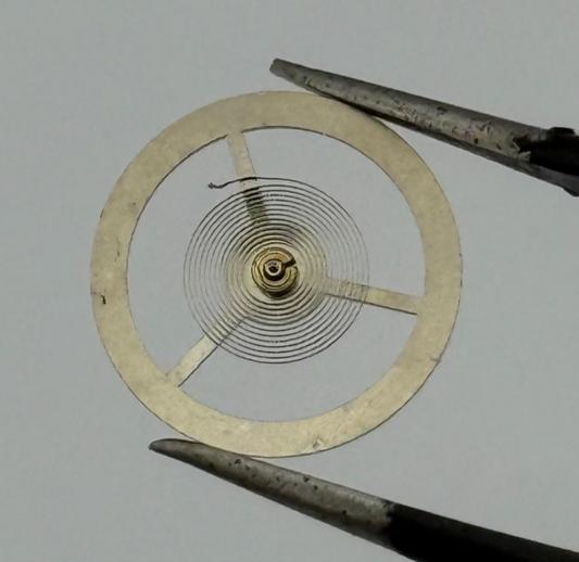 EB 8800 Balance Wheel Complete And Spring 12’’’ 1309 Watch Movement Parts NOS