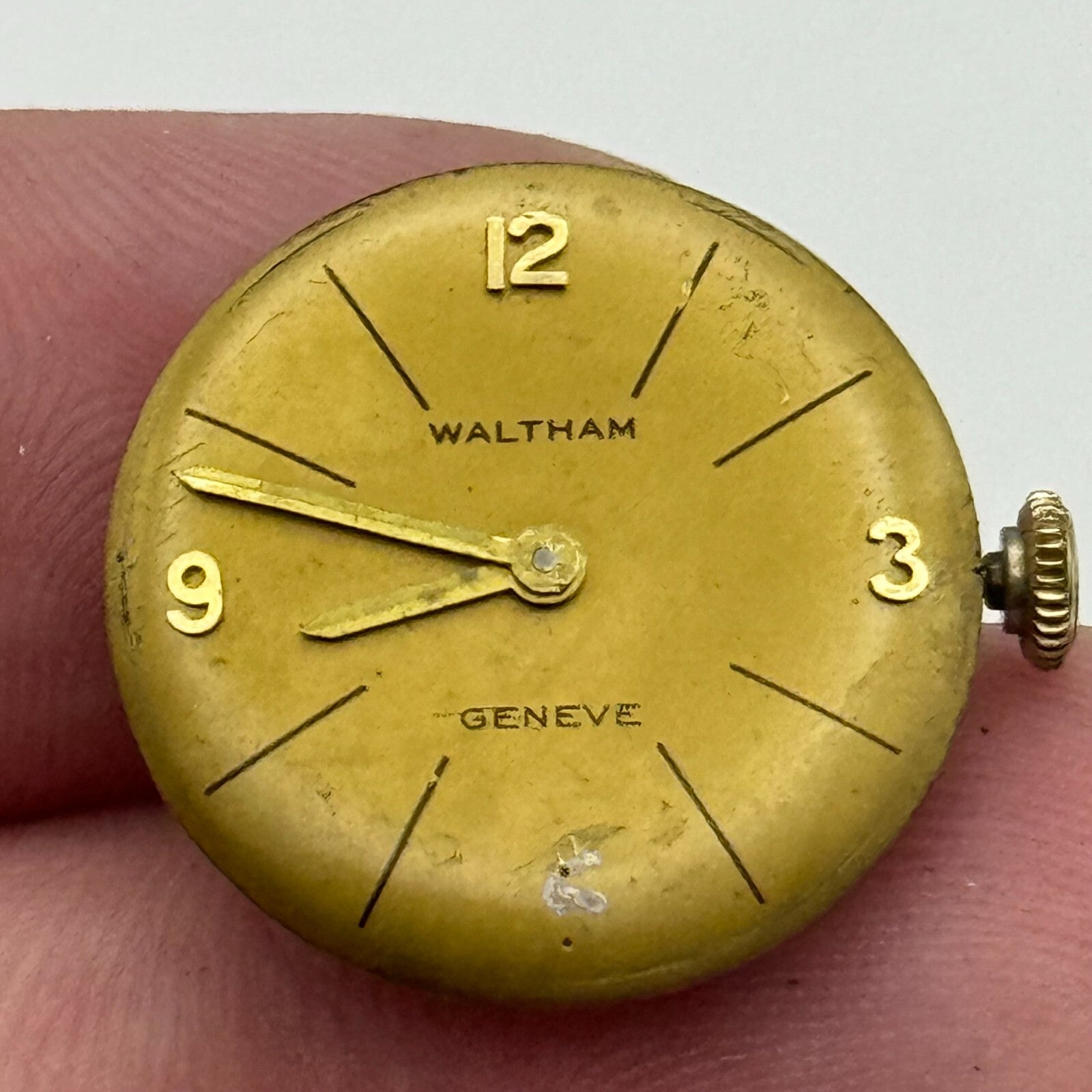 19.7mm Running Waltham ETA 2412 Ladies Manual Wind Swiss Watch Movement PARTS