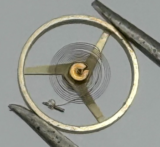 AS 976 1012 Balance Wheel Complete And Spring  29 M Watch Movement Parts NOS