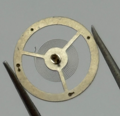 EB 8800 Balance Wheel Complete And Spring 12’’’ 1309 Watch Movement Parts NOS