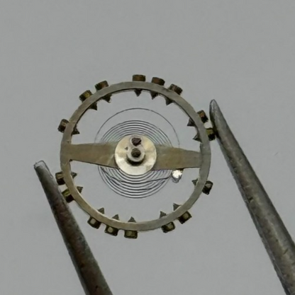 AS 976 1012 Balance Wheel Complete And Spring 29 M Renata Watch Movement Parts