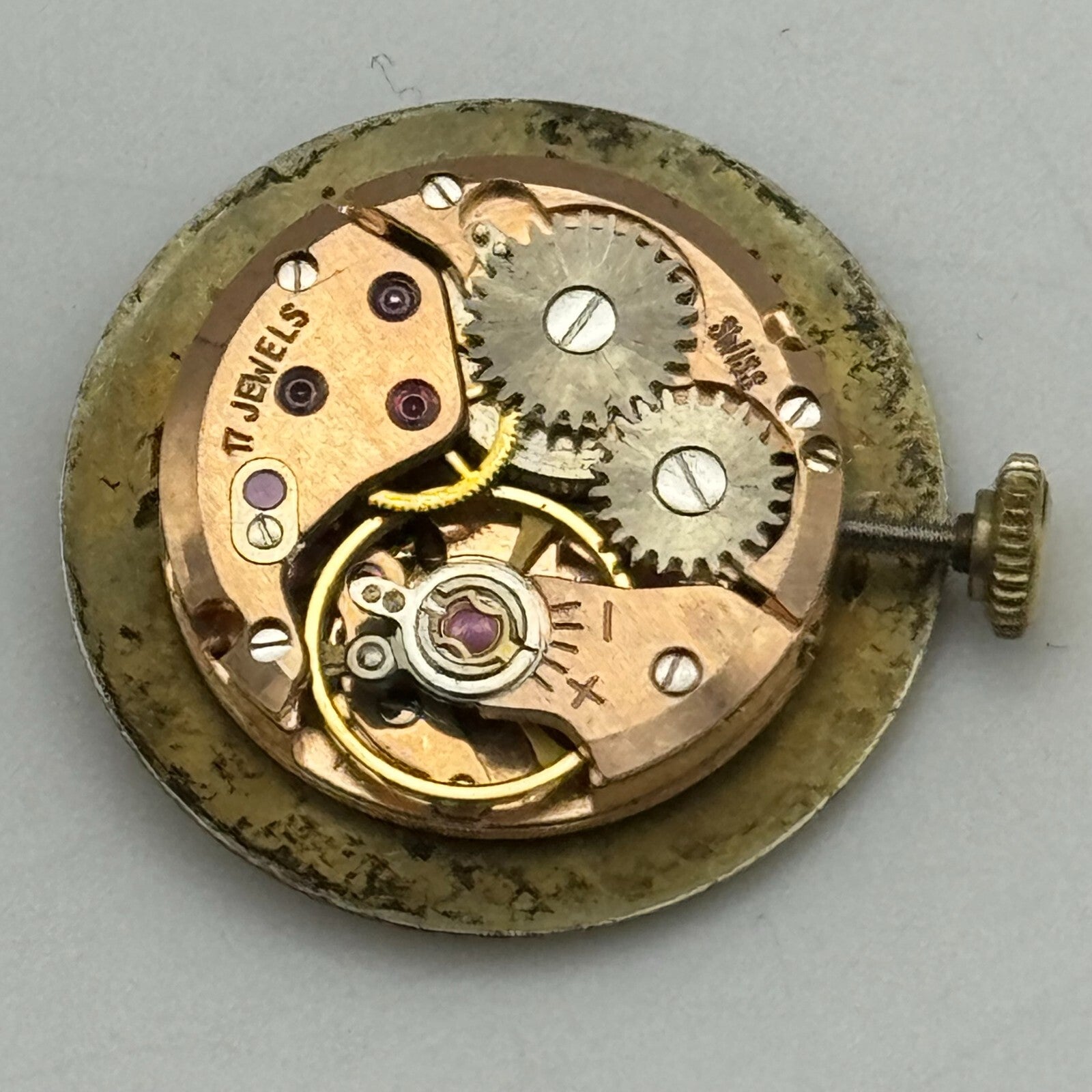19.7mm Running Waltham ETA 2412 Ladies Manual Wind Swiss Watch Movement PARTS