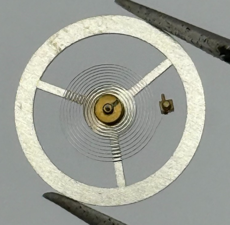 EB 8800 Balance Wheel Complete And Spring 12’’’ 1309 Watch Movement Parts NOS