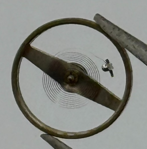 ST 69 Balance Wheel Complete And Spring 6¾-8''' 1155 M Watch Movement Parts NOS