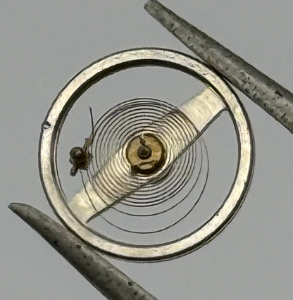 Brac 2021 2051 Balance Wheel Complete And Spring 69 M Watch Movement Parts NOS