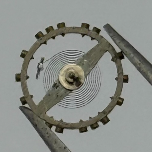 AS 1051 Balance Wheel Complete And Spring  Watch Movement Parts NOS