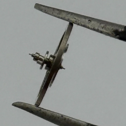 EB 1612 Balance Wheel Complete And Spring 6¾–8’’’ 950 Watch Movement Parts 