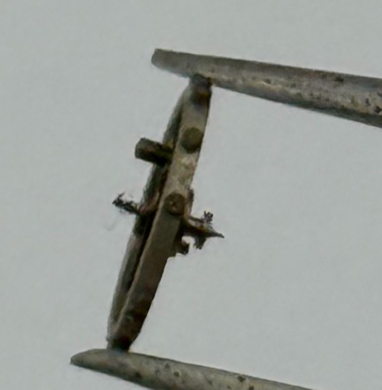 ETA 761 1201 Balance Wheel Complete And Spring 145 M Watch Movement Parts NOS