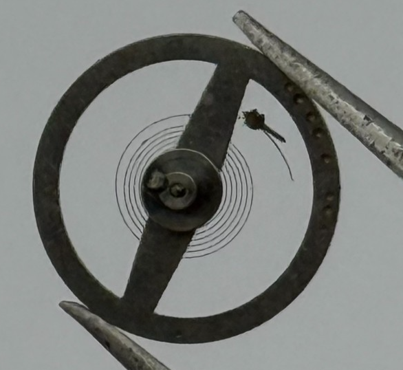 Brac 107 Balance Wheel Complete And Spring 10 1/2’’’ 705 Watch Movement Parts