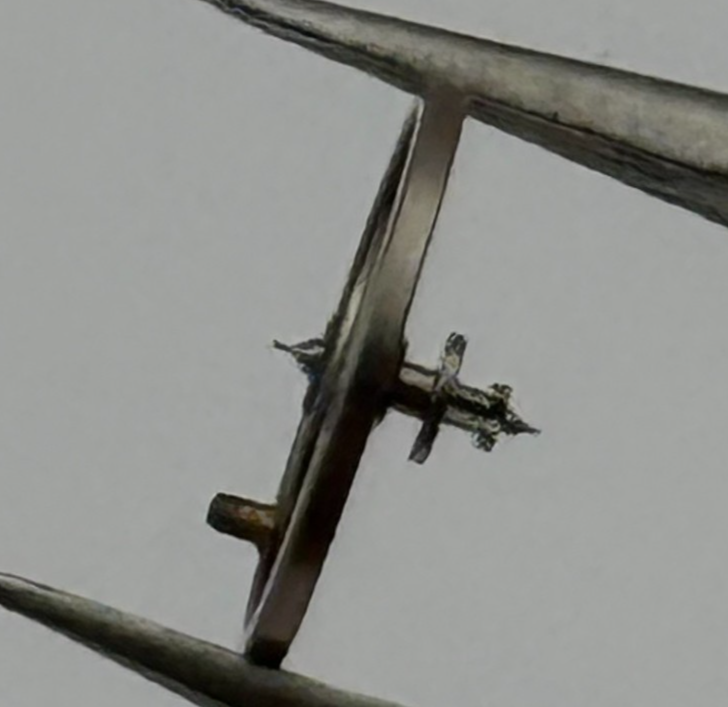 Brac 2021 Balance Wheel Complete And Spring  5¼’’’ 69 M Watch Movement Parts NOS