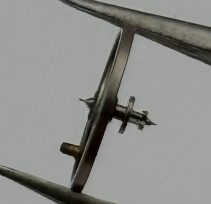 Brac 2021 Balance Wheel Complete And Spring  5¼’’’ 69 M Watch Movement Parts NOS