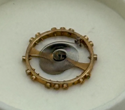 AS 976 1012 Balance Wheel Complete And Spring Inca 532 M Watch Movement Parts