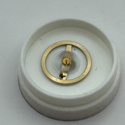 RL RAX 1013 1237 Balance Wheel Complete And Spring 1679 M Watch Movement Parts
