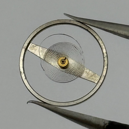 EB 8800 Balance Wheel Complete And Spring 12’’’ 1309 Watch Movement Parts NOS
