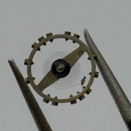 AS 976 1012 Balance Wheel Complete And Spring 29 M Watch Movement Parts NOS