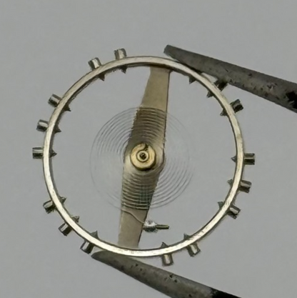 ETA 2450 2452 2472 Balance Wheel Complete And Spring 1676 M Watch Movement Parts