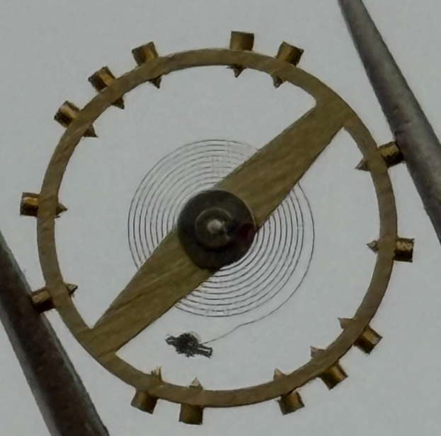 AS 984 Balance Wheel Complete And Spring 81 M Watch Movement Parts NOS