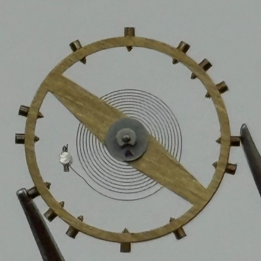 AS 1700-3 Balance Wheel Complete And Spring  1165 M Watch Movement Parts NOS