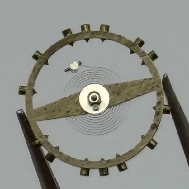 AS 1194 Balance Wheel Complete And Spring 42 M Watch Movement Parts NOS