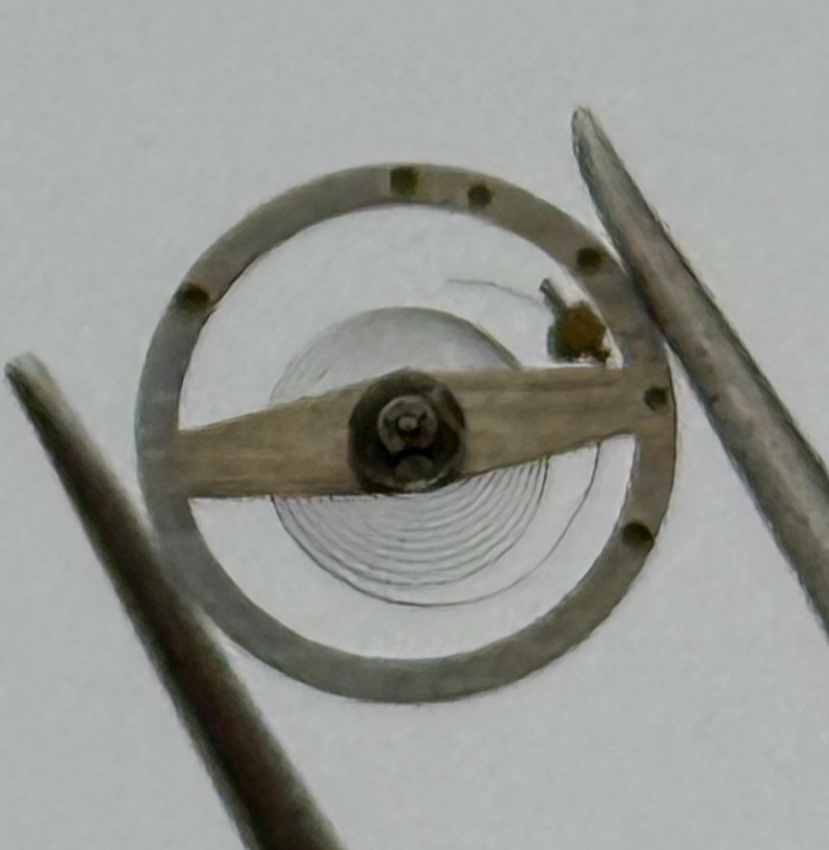 Brac 2021 Balance Wheel Complete And Spring  5¼’’’ 69 M Watch Movement Parts 