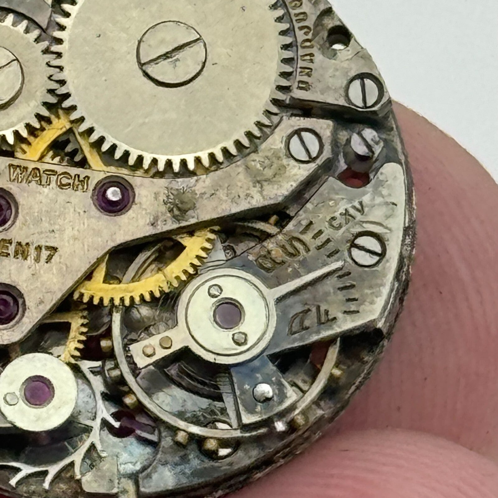 19.7mm Delbana AS A Schild Manual Wind 17 Jewels Swiss Watch Movement PARTS