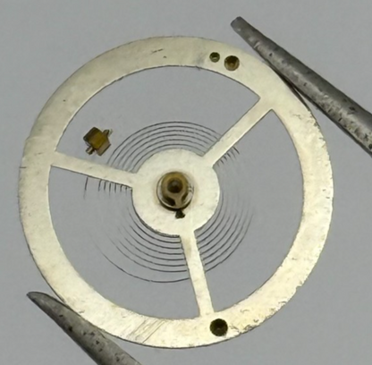 EB 8800 Balance Wheel Complete And Spring 12’’’ 1309 Watch Movement Parts NOS