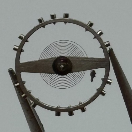 ETA 2450 2452 2472 Balance Wheel Complete And Spring 1676 M Watch Movement Parts