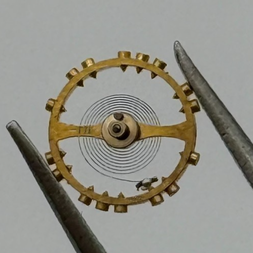 AS 976 1012 Balance Wheel Complete And Spring  29 M Watch Movement Parts 